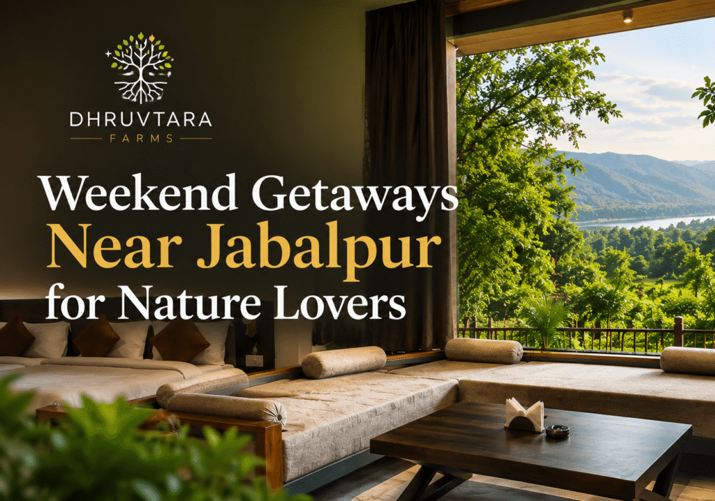 weekend getaways near me, resorts near Jabalpur for weekend, resort near Jabalpur for weekend, dhruvtara farms, places to visit near Jabalpur